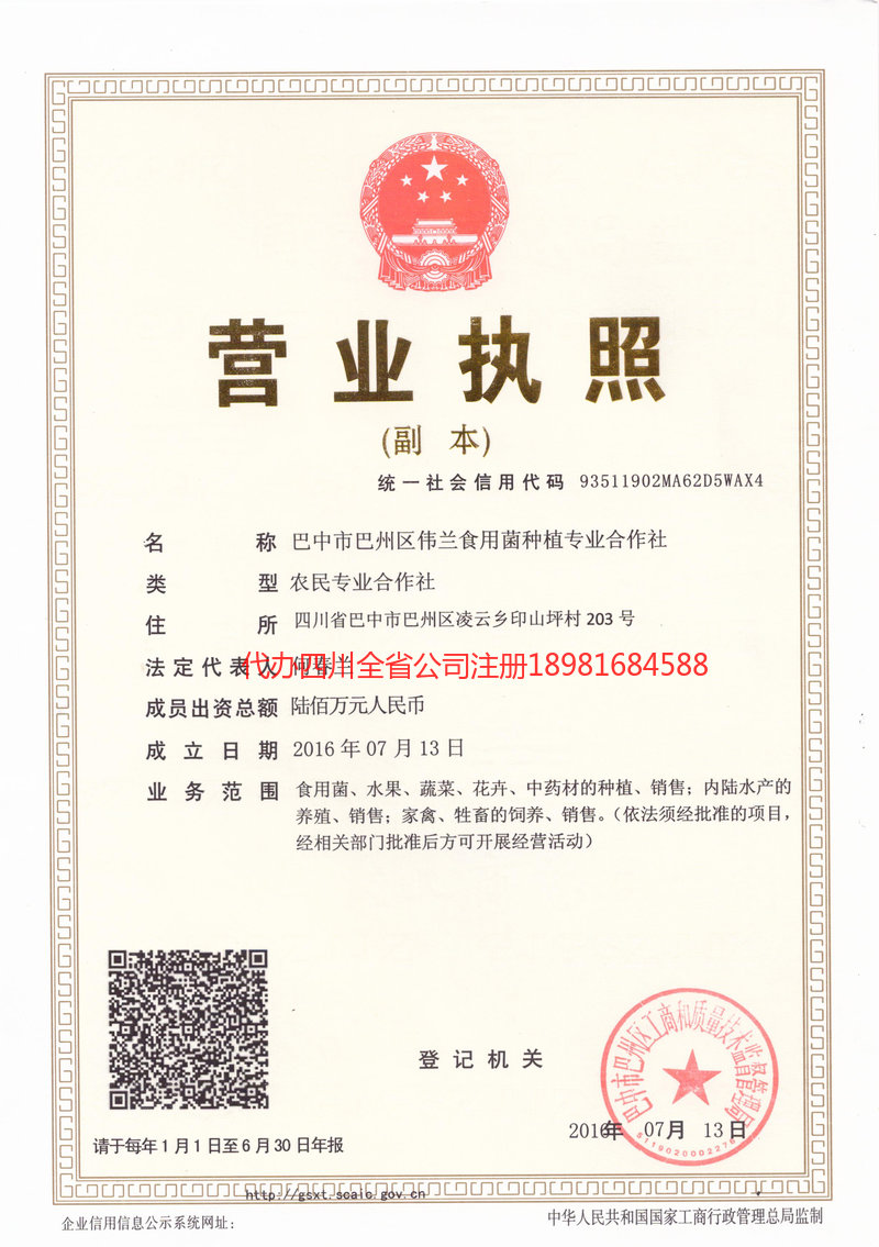 龙井龙井伟兰食用菌种植专业合作社